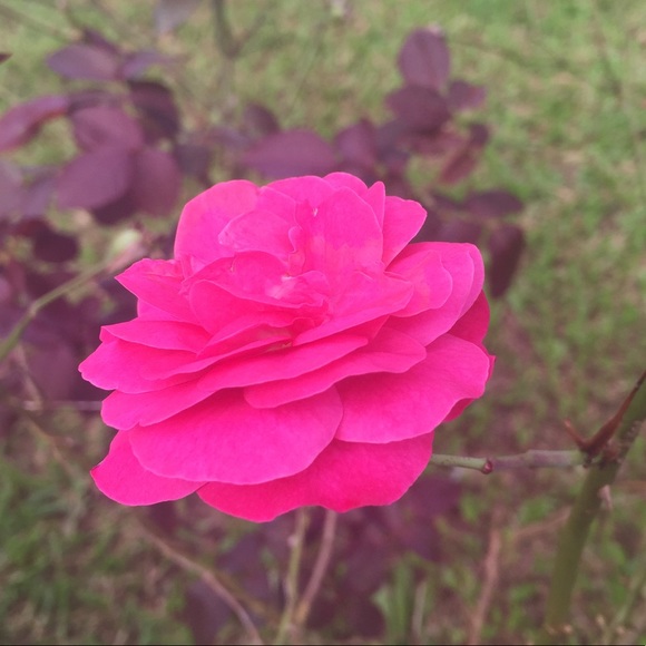 MAKE ME OFFERS - Picture 1 of 1